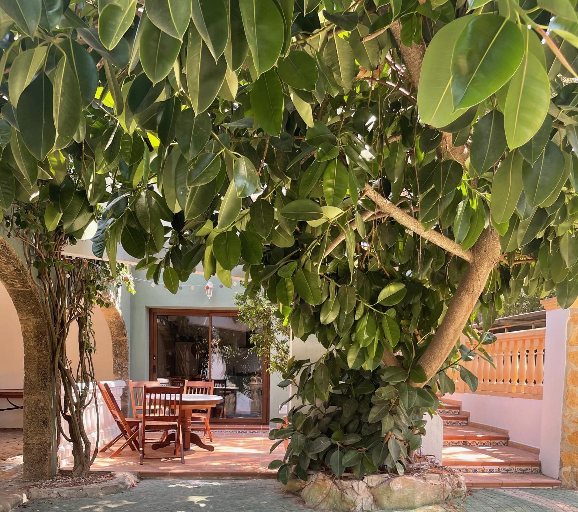 La Posada Paradiso Jávea Kültér fotó